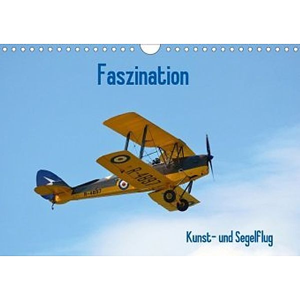 Faszination Kunst- und Segelflug (Wandkalender 2020 DIN A4 quer), Friedrich Wesch
