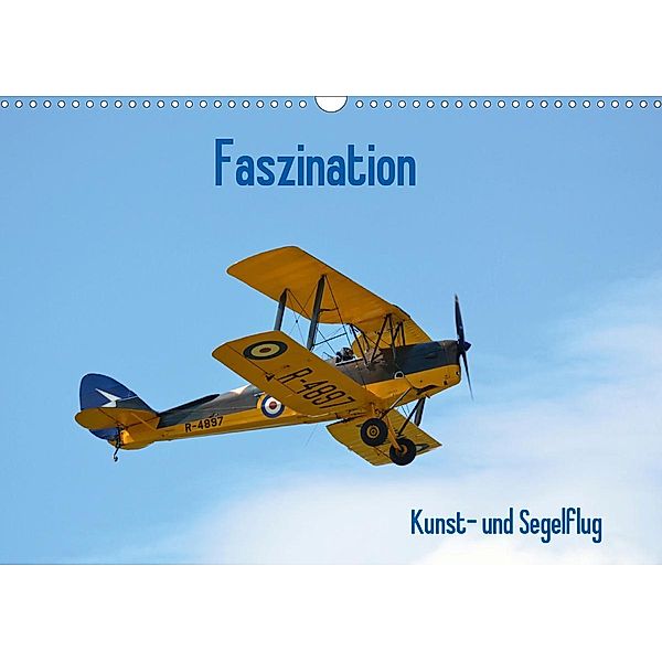 Faszination Kunst- und Segelflug (Wandkalender 2021 DIN A3 quer), Friedrich Wesch