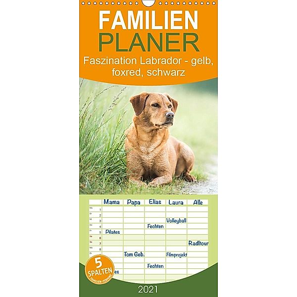 Faszination Labrador - gelb, foxred, schwarz - Familienplaner hoch (Wandkalender 2021 , 21 cm x 45 cm, hoch), Cornelia Strunz