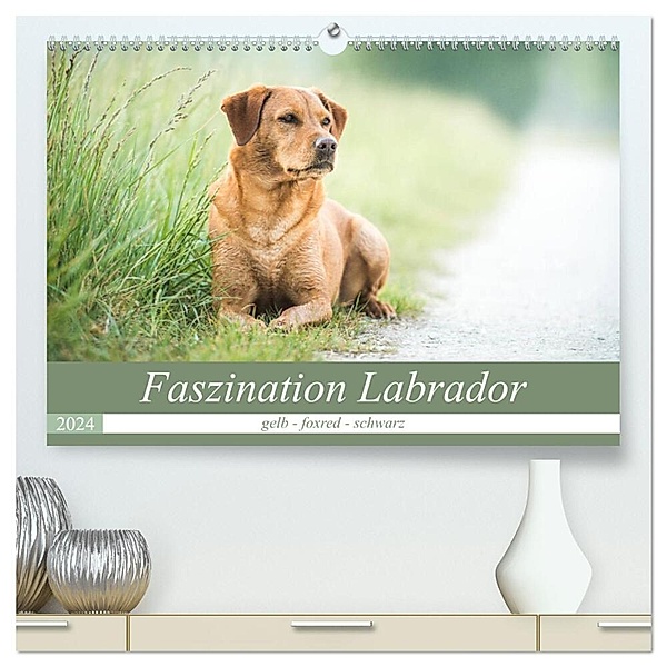 Faszination Labrador - gelb, foxred, schwarz (hochwertiger Premium Wandkalender 2024 DIN A2 quer), Kunstdruck in Hochglanz, Cornelia Strunz