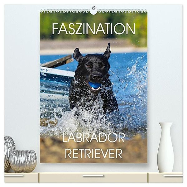 Faszination Labrador Retriever (hochwertiger Premium Wandkalender 2024 DIN A2 hoch), Kunstdruck in Hochglanz, Sigrid Starick