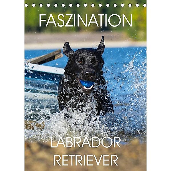 Faszination Labrador Retriever (Tischkalender 2023 DIN A5 hoch), Sigrid Starick