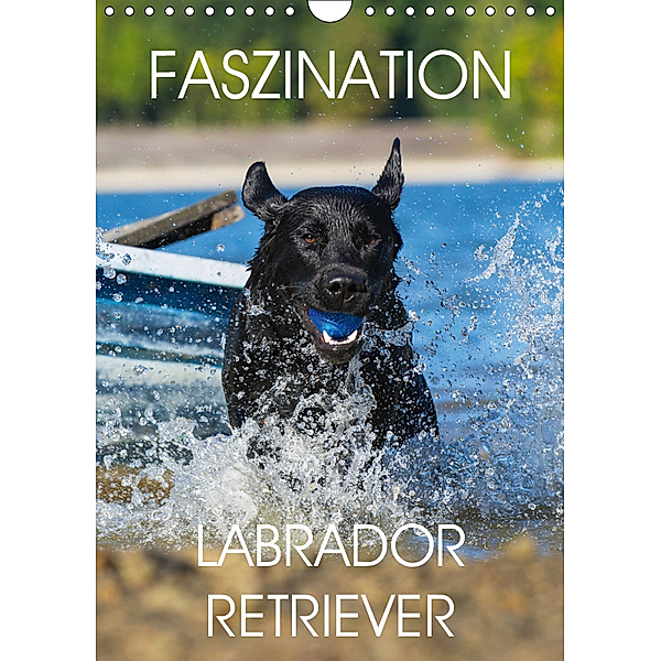Faszination Labrador Retriever (Wandkalender 2019 DIN A4 hoch), Sigrid Starick