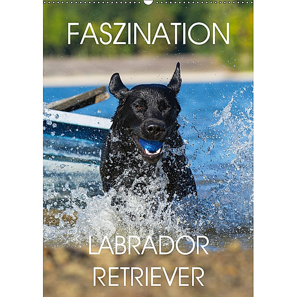 Faszination Labrador Retriever (Wandkalender 2019 DIN A2 hoch), Sigrid Starick