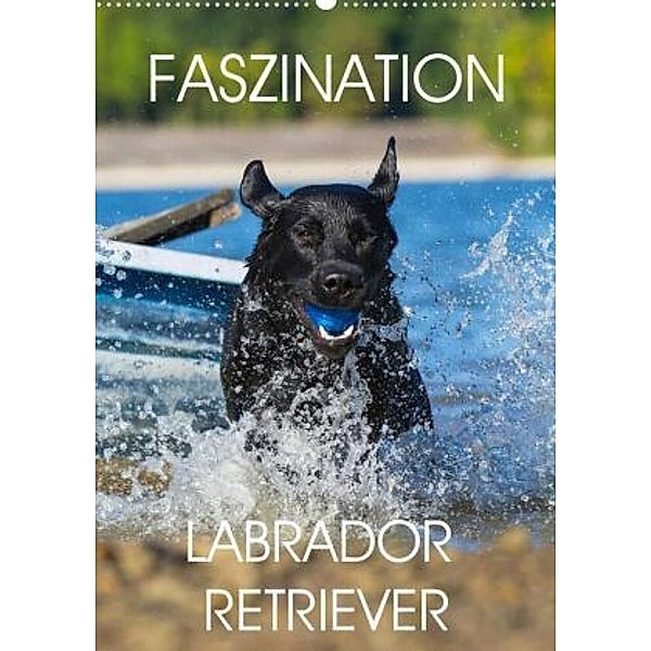 Faszination Labrador Retriever (Wandkalender 2022 DIN A2 hoch), Sigrid Starick