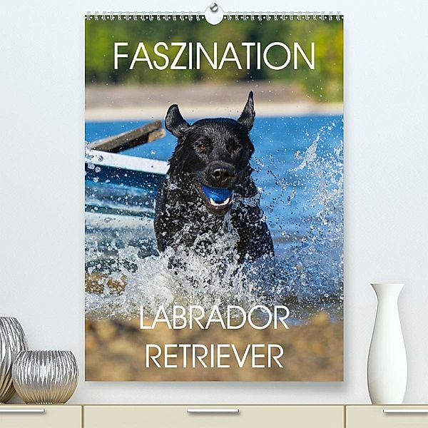 Faszination Labrador Retriever(Premium, hochwertiger DIN A2 Wandkalender 2020, Kunstdruck in Hochglanz), Sigrid Starick