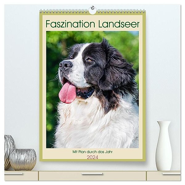 Faszination Landseer - Mit Plan durch das Jahr (hochwertiger Premium Wandkalender 2024 DIN A2 hoch), Kunstdruck in Hochglanz, Calvendo