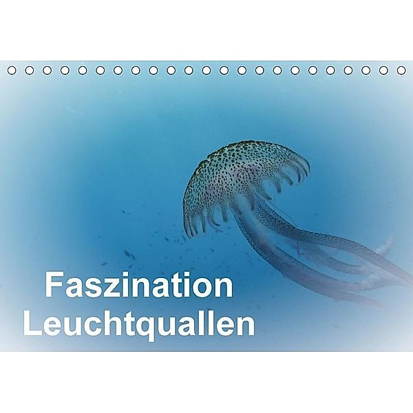 Faszination Leuchtquallen (Tischkalender 2017 DIN A5 quer), Gabi Hampe