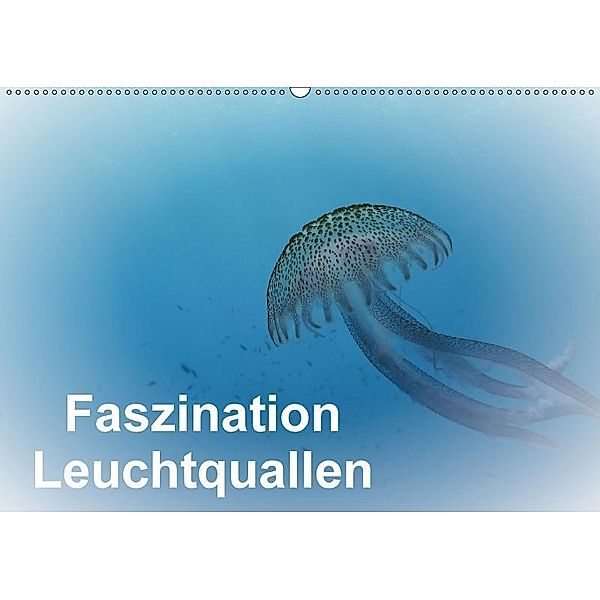 Faszination Leuchtquallen (Wandkalender 2017 DIN A2 quer), Gabi Hampe