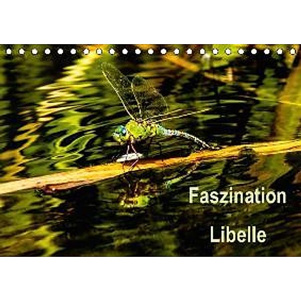 Faszination Libelle (Tischkalender 2016 DIN A5 quer), Sacha Lehmann