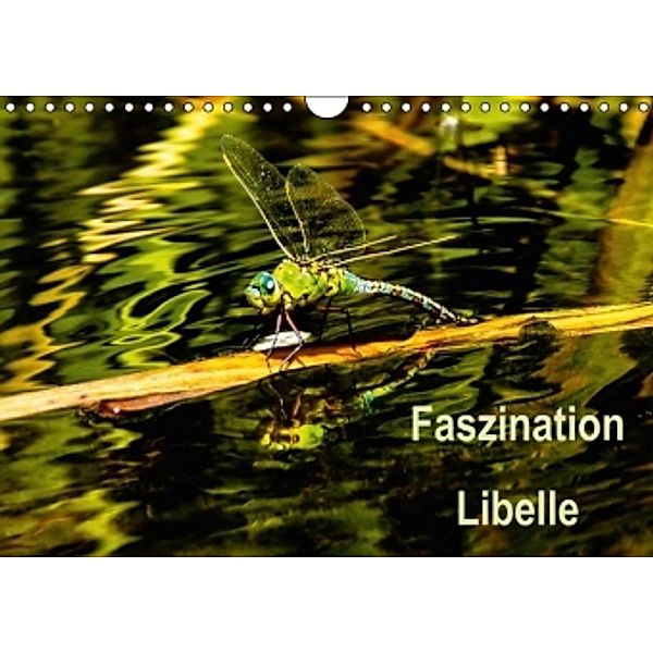 Faszination Libelle (Wandkalender 2015 DIN A4 quer), Sacha Lehmann