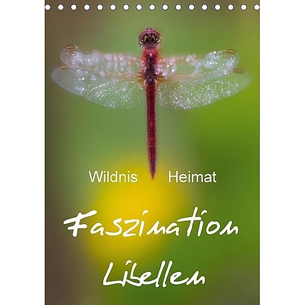 Faszination Libellen - Wildnis Heimat (Tischkalender 2017 DIN A5 hoch), Ferry BÖHME