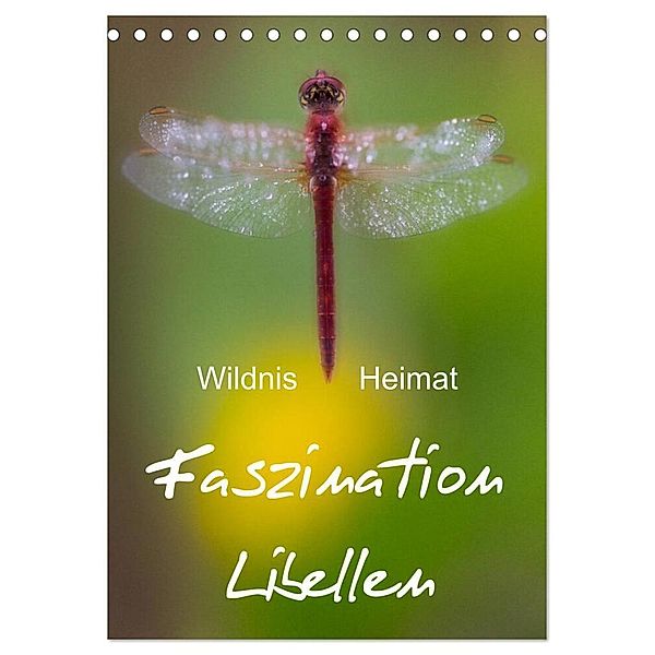 Faszination Libellen - Wildnis Heimat (Tischkalender 2024 DIN A5 hoch), CALVENDO Monatskalender, Ferry Böhme