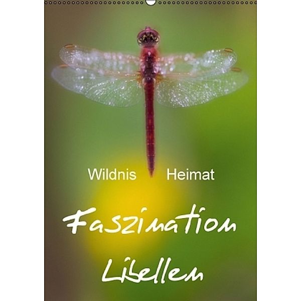 Faszination Libellen - Wildnis Heimat (Wandkalender 2016 DIN A2 hoch), Ferry Böhme
