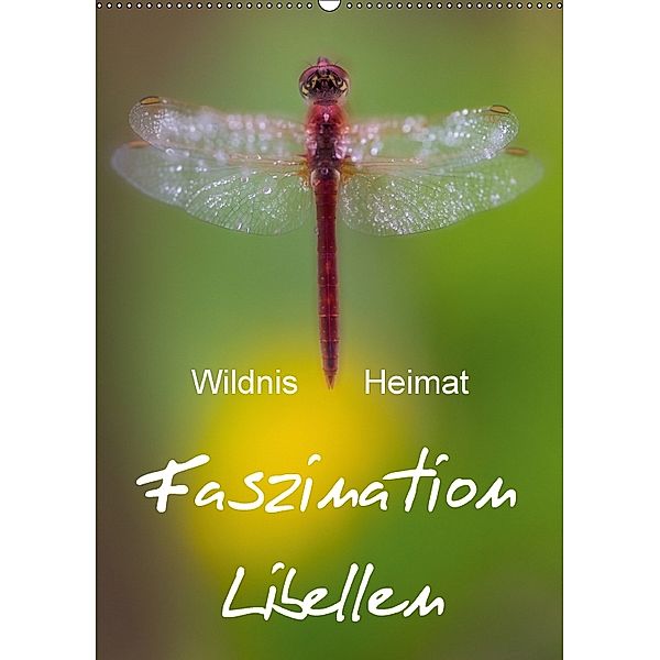 Faszination Libellen - Wildnis Heimat (Wandkalender 2018 DIN A2 hoch), Ferry BÖHME