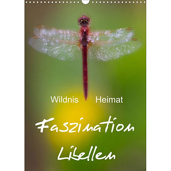 Faszination Libellen - Wildnis Heimat (Wandkalender 2022 DIN A3 hoch), Ferry Böhme