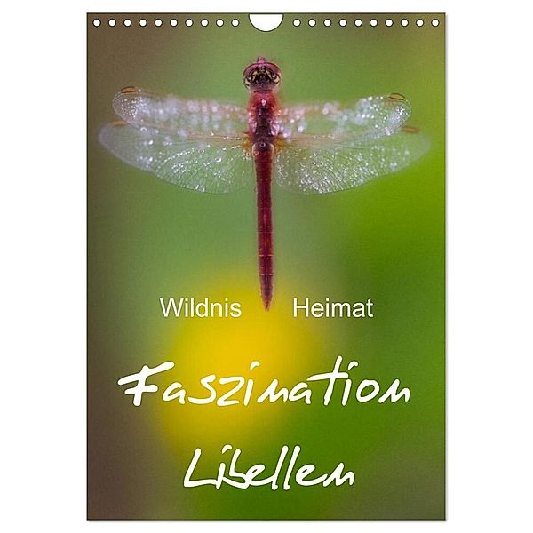 Faszination Libellen - Wildnis Heimat (Wandkalender 2024 DIN A4 hoch), CALVENDO Monatskalender, Ferry Böhme