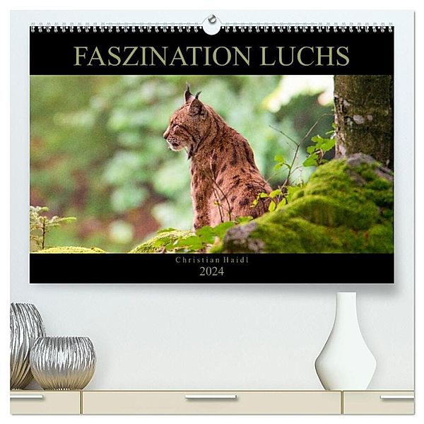 Faszination Luchs (hochwertiger Premium Wandkalender 2024 DIN A2 quer), Kunstdruck in Hochglanz, www.chphotography.de