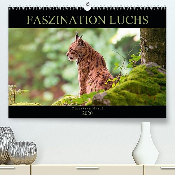 Faszination Luchs (Premium-Kalender 2020 DIN A2 quer)