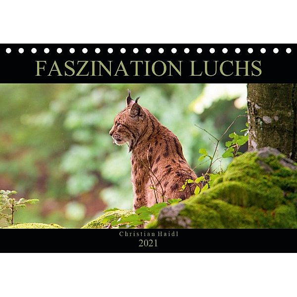 Faszination Luchs (Tischkalender 2021 DIN A5 quer), www.chphotography.de