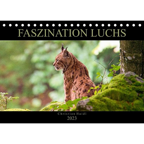 Faszination Luchs (Tischkalender 2023 DIN A5 quer), www.chphotography.de