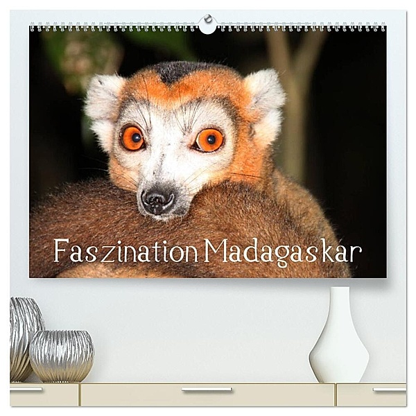 Faszination Madagaskar (hochwertiger Premium Wandkalender 2024 DIN A2 quer), Kunstdruck in Hochglanz, Karsten-Thilo Raab