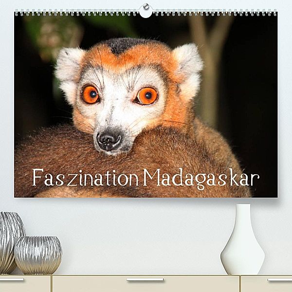 Faszination Madagaskar (Premium, hochwertiger DIN A2 Wandkalender 2023, Kunstdruck in Hochglanz), Karsten-Thilo Raab