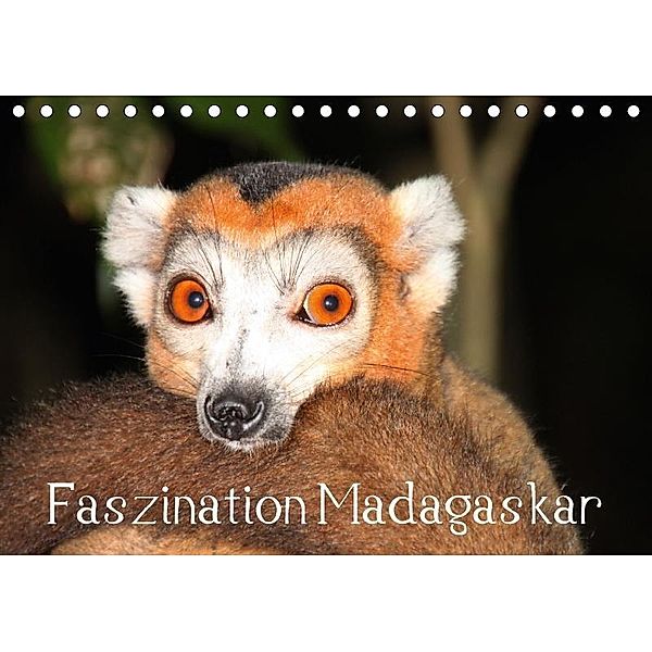 Faszination Madagaskar (Tischkalender 2017 DIN A5 quer), Karsten-Thilo Raab
