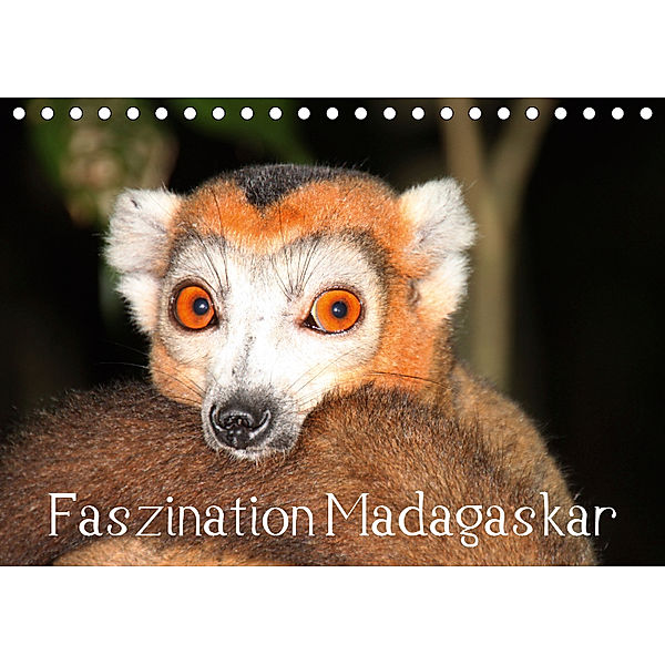 Faszination Madagaskar (Tischkalender 2019 DIN A5 quer), Karsten-Thilo Raab
