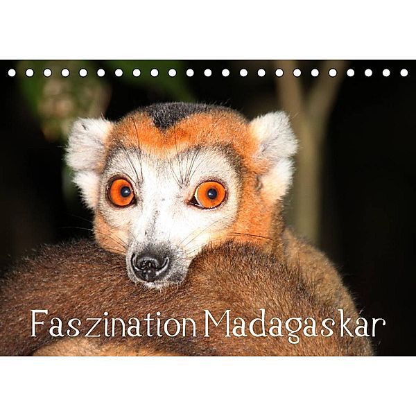 Faszination Madagaskar (Tischkalender 2023 DIN A5 quer), Karsten-Thilo Raab
