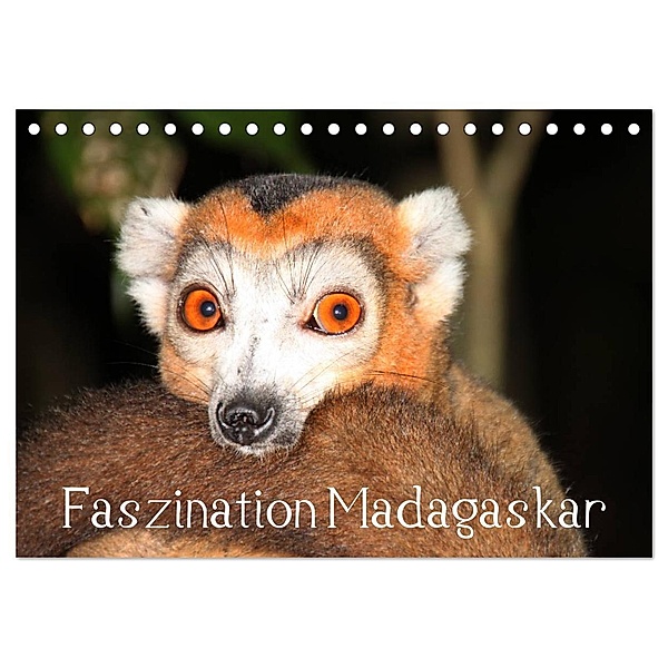 Faszination Madagaskar (Tischkalender 2024 DIN A5 quer), CALVENDO Monatskalender, Karsten-Thilo Raab