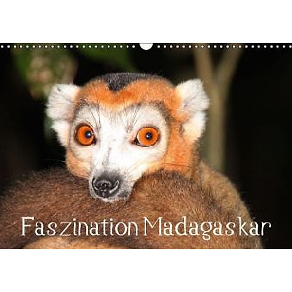 Faszination Madagaskar (Wandkalender 2015 DIN A3 quer), Karsten-Thilo Raab
