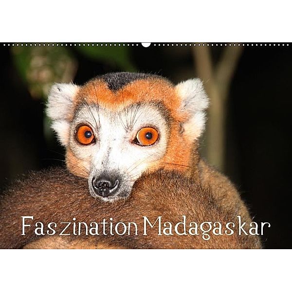 Faszination Madagaskar (Wandkalender 2017 DIN A2 quer), Karsten-Thilo Raab