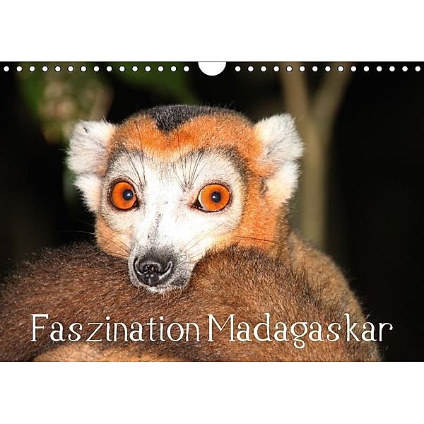 Faszination Madagaskar (Wandkalender 2017 DIN A4 quer), Karsten-Thilo Raab