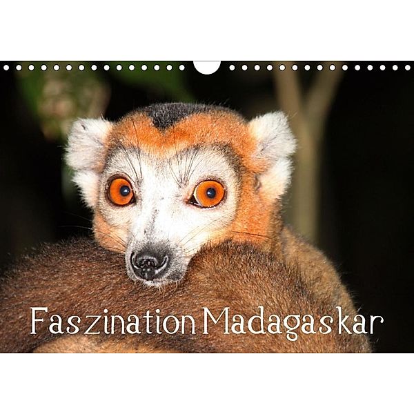 Faszination Madagaskar (Wandkalender 2020 DIN A4 quer), Karsten-Thilo Raab