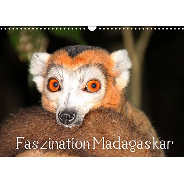Faszination Madagaskar (Wandkalender 2022 DIN A3 quer), Karsten-Thilo Raab