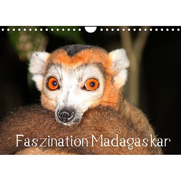 Faszination Madagaskar (Wandkalender 2022 DIN A4 quer), Karsten-Thilo Raab