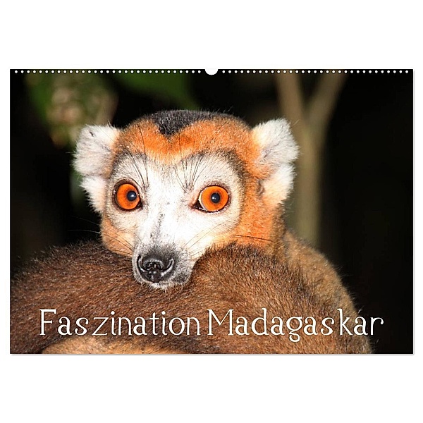 Faszination Madagaskar (Wandkalender 2024 DIN A2 quer), CALVENDO Monatskalender, Karsten-Thilo Raab