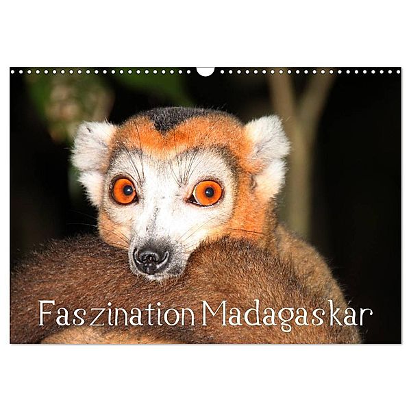 Faszination Madagaskar (Wandkalender 2024 DIN A3 quer), CALVENDO Monatskalender, Karsten-Thilo Raab