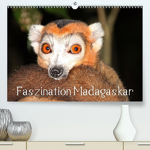 Faszination Madagaskar(Premium, hochwertiger DIN A2 Wandkalender 2020, Kunstdruck in Hochglanz), Karsten-Thilo Raab