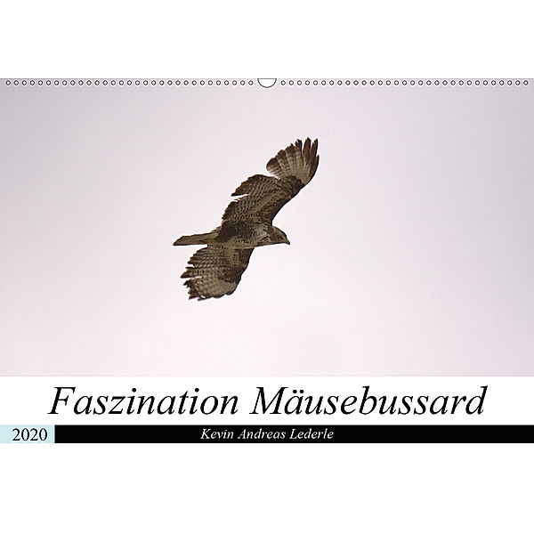 Faszination Mäusebussard (Wandkalender 2020 DIN A2 quer), Kevin Andreas Lederle