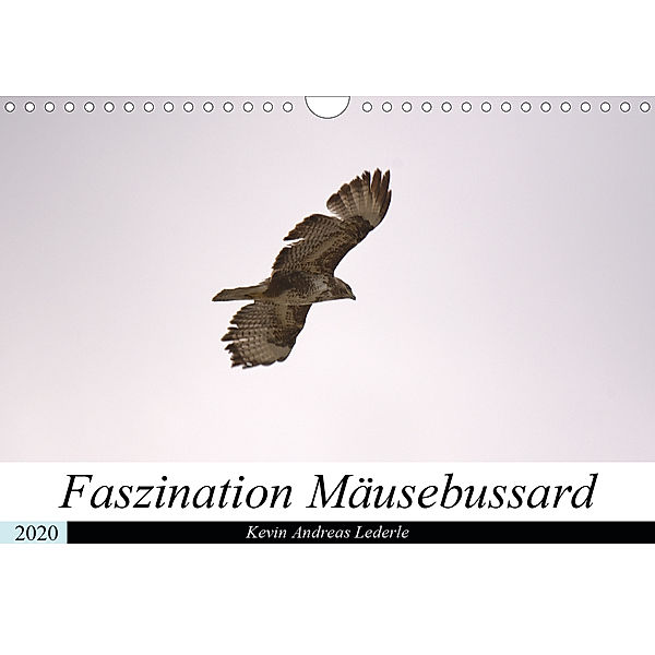 Faszination Mäusebussard (Wandkalender 2020 DIN A4 quer), Kevin Andreas Lederle