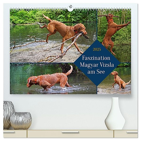 Faszination Magyar Vizsla am See (hochwertiger Premium Wandkalender 2025 DIN A2 quer), Kunstdruck in Hochglanz, Calvendo, Babett Paul - Babetts Bildergalerie