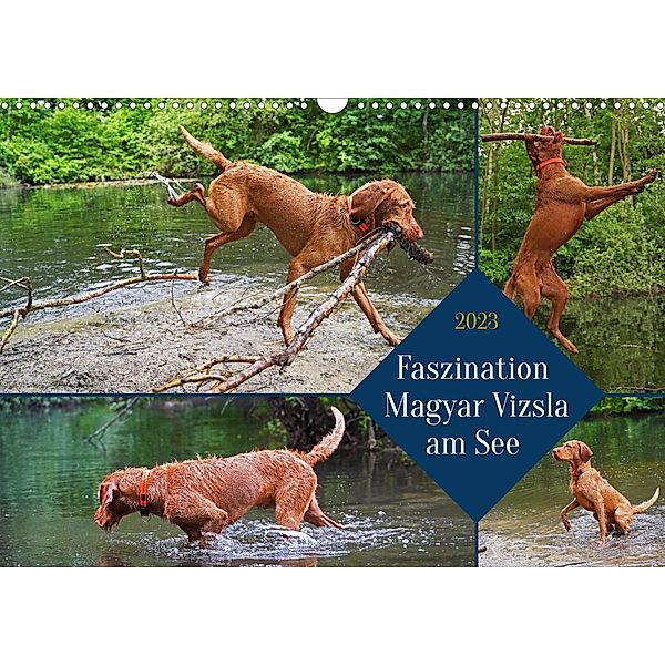 Faszination Magyar Vizsla am See (Wandkalender 2023 DIN A3 quer), Babett Paul - Babetts Bildergalerie