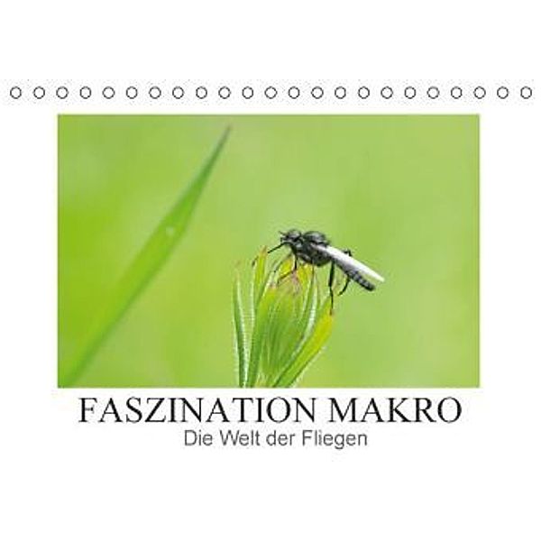 Faszination Makro - Die Welt der Fliegen (Tischkalender 2016 DIN A5 quer), Andrea Potratz