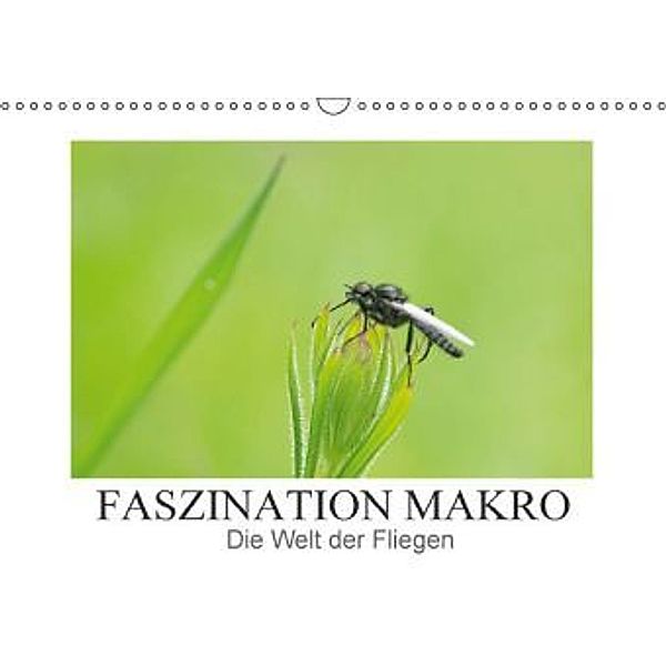 Faszination Makro - Die Welt der Fliegen (Wandkalender 2016 DIN A3 quer), Andrea Potratz