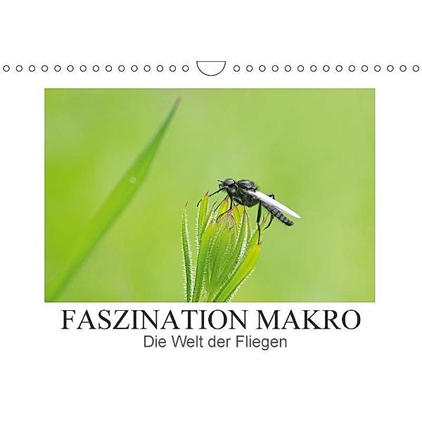 Faszination Makro - Die Welt der Fliegen (Wandkalender 2017 DIN A4 quer), Andrea Potratz