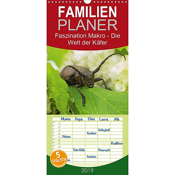 Faszination Makro - Die Welt der Käfer - Familienplaner hoch (Wandkalender 2019 , 21 cm x 45 cm, hoch), Andrea Potratz