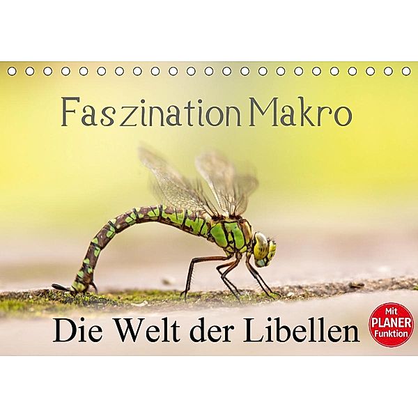 Faszination Makro - Die Welt der Libellen (Tischkalender 2021 DIN A5 quer), Andrea Potratz
