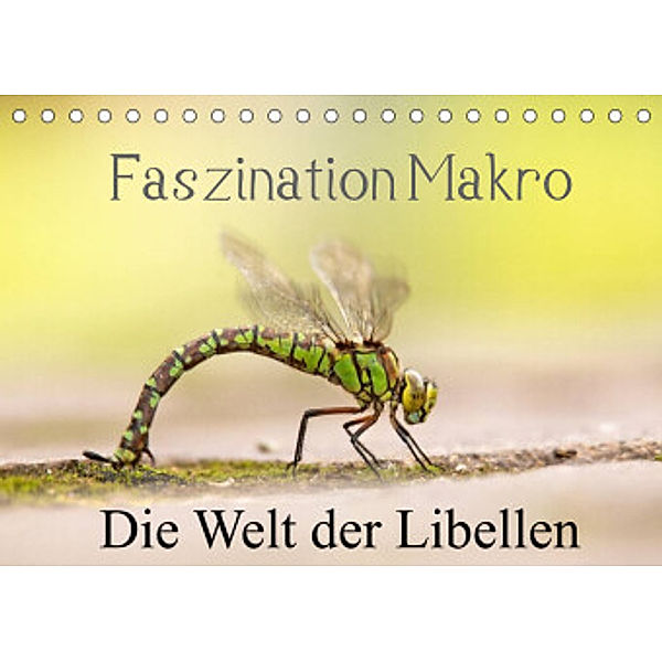 Faszination Makro - Die Welt der Libellen (Tischkalender 2022 DIN A5 quer), Andrea Potratz